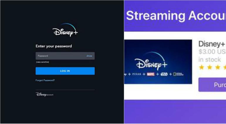 Usuarios de Disney Plus les roban sus datos