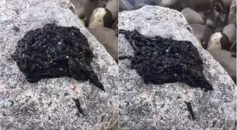Extraña sustancia negra es comparada con 'Venom'; dicen que es un simbionte Extraña sustancia negra es comparada con 'Venom'; dicen que es un simbionte