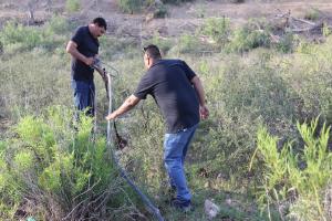 Denuncian a 19 granjas en Chihuahua por robo de líquido; clausuran tomas