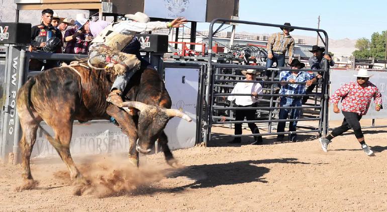 Este es el calendario oficial del “Festival Vaquero” 2022 | Tiempo