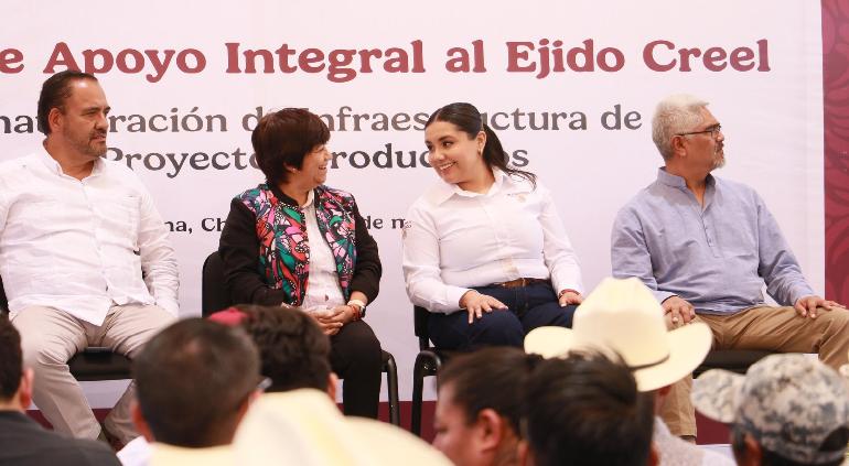 Galeria 11
