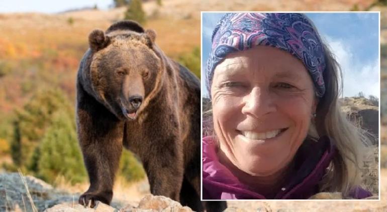 Mujer acampaba en su tienda; oso la arrastró y mató | Tiempo