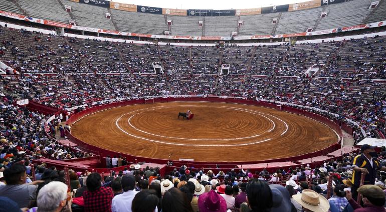 Prohíben Definitivamente Las Corridas De Toro En Plaza La México 