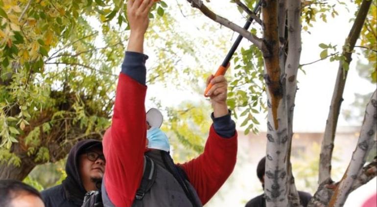 Impartió Ecología taller para podar árboles | Puente Libre