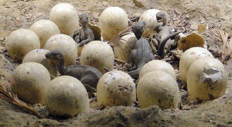 China intentar reanimar dinosaurios al encontrar huevos cristalizados