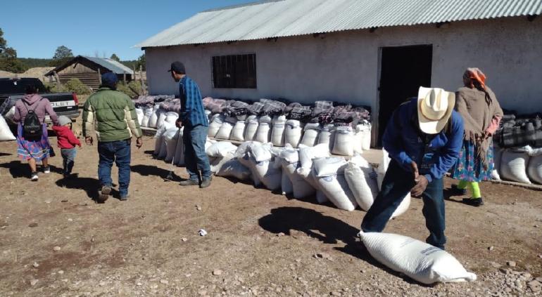 Entrega Estado despensas y cobijas a familias afectadas de Maguarichi