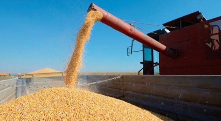 Romperá México récord de su importación de maíz, calcula EU