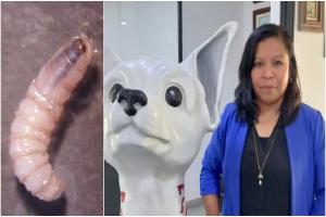 Relacionada nuvia-orduno-gbg.jpg