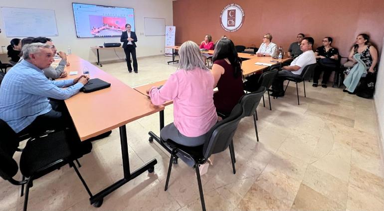 Urbanismo, salud, seguridad, cultura: Colech presenta avances de tesis