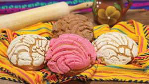 Relacionada conchas-800x472.jpg