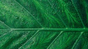 Relacionada 1-marketing-verde-1400x800.jpg