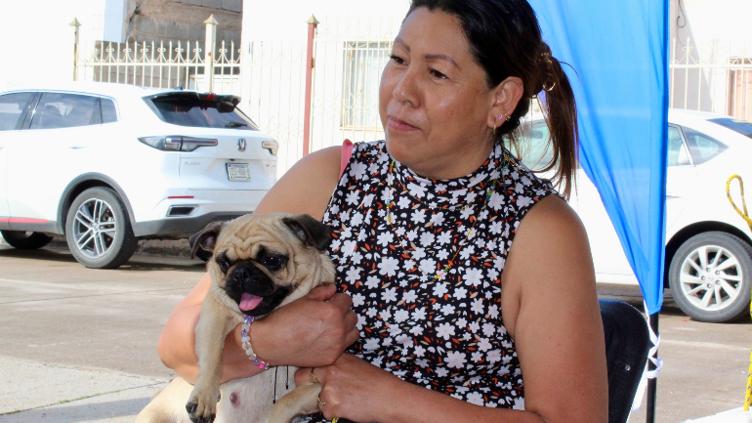 Galeria 11