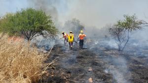 Relacionada incendio-forestal-bavispe.jpg