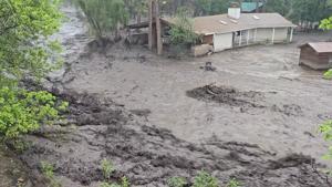 Relacionada ruidoso.jpg