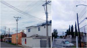 Relacionada led-granjas.jpg