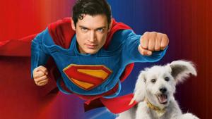 Relacionada superman-movie-krypto-the-super-dog.jpg