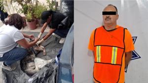 Relacionada detenido-perrito-jardines-de-san-pablo.jpg