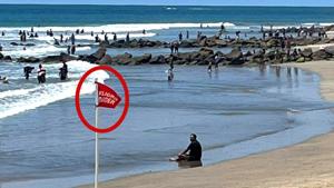 Relacionada mazatlan-bandera.jpg
