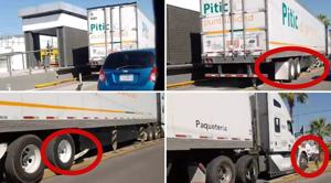 Relacionada bowi-trailer.jpg