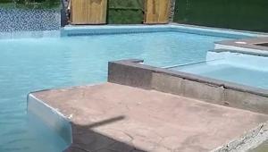 Relacionada jardin-alexa.jpg