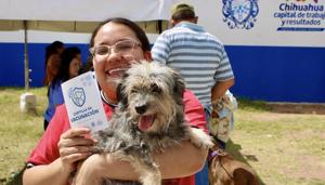 Relacionada jornadaatencionmascotas24agosto.jpg