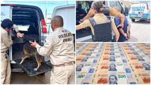 Relacionada multa-arresto-millon.jpg
