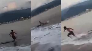 Relacionada cocodrilo-playa-puerto-vallarta.jpg
