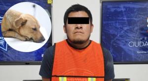 Relacionada detenido-agresor-perrito.jpg