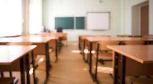 Relacionada principal_principal_sin-clases-chihuahua.jpg