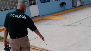 Relacionada 68b88f74d3e30__68b88f74d3e32.jpg