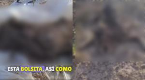 Relacionada principal_denuncian-por-cementerio-clandestino.jpg