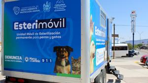 Relacionada inshot_20250905_114715510.jpg