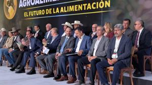 Relacionada pxl_20250911_162802698.jpg