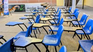 Relacionada pxl_20250911_1537269322.jpg