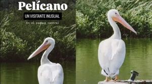 Relacionada descarga-27.jpg