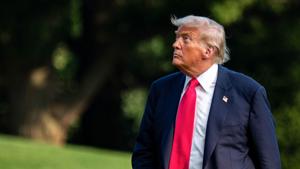 Relacionada gettyimages-2224637316.jpg
