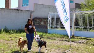 Relacionada c1b3ef55-b2c7-4f26-9fa4-b9ccbf368c81.jpg