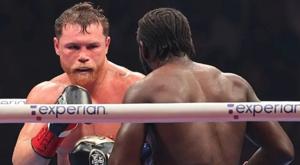 Relacionada canelo.jpg