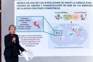 Relacionada 486d38a1-676e-4316-9ef5-0e8fe00318db.jpg