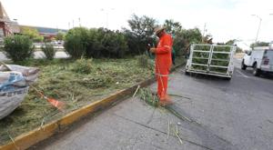 Relacionada descarga-14.jpg