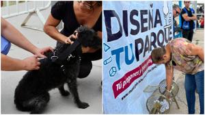 Relacionada disena-tu-parque-chihuahua.jpg