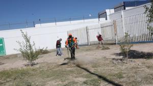 Relacionada 68dc1e1388d1c__68dc1e1388d1d.jpg