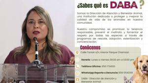 Relacionada dabacampana.jpg