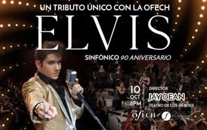 Relacionada tributoelvis.jpg