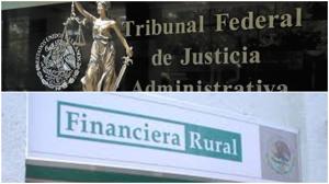 Relacionada tfja-financiera-rural.jpg