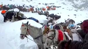 Relacionada everest-octubre-2025.jpg