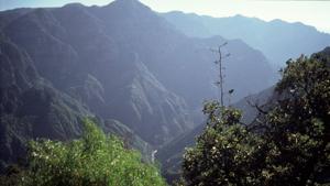 Relacionada barranca_de_batopilas.jpg