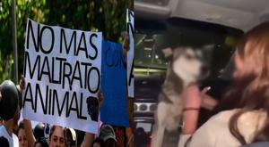 Relacionada exigen-justicia-tras-video-de-jovenes-embriagando-perrita-en-chihuahua.jpg