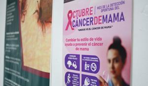 Relacionada 68efd6d07f023__68efd6d07f024.jpg