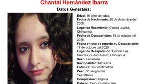 Relacionada whatsapp-image-2025-10-18-at-14227-pm.jpg